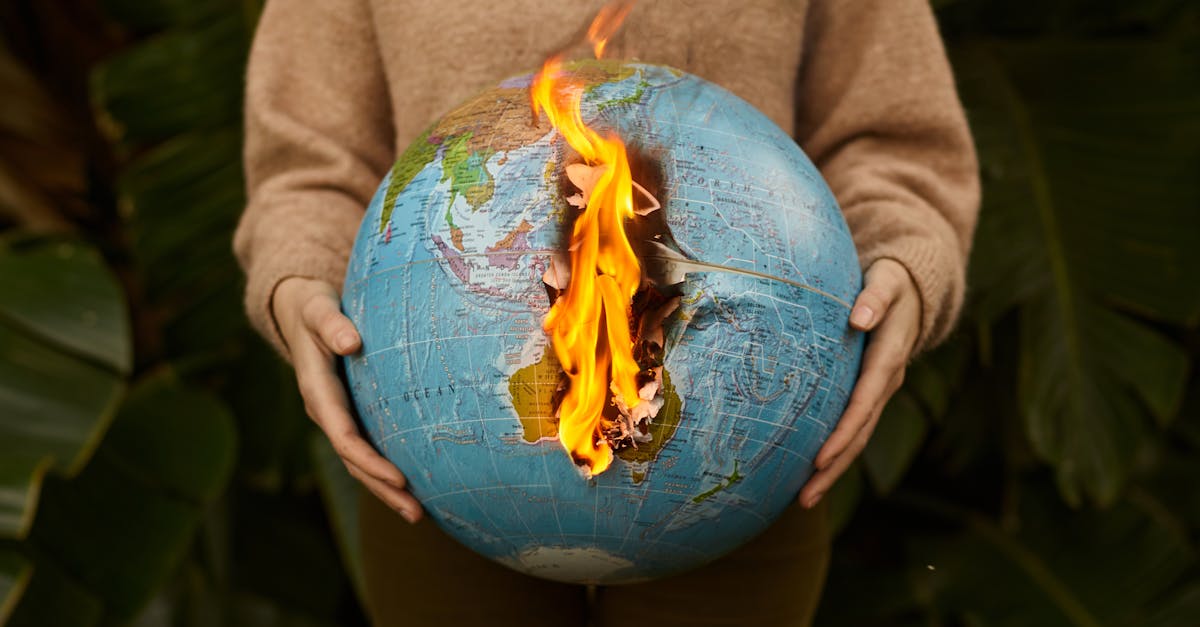 L'IA au service de l'alimentation durable et du trading