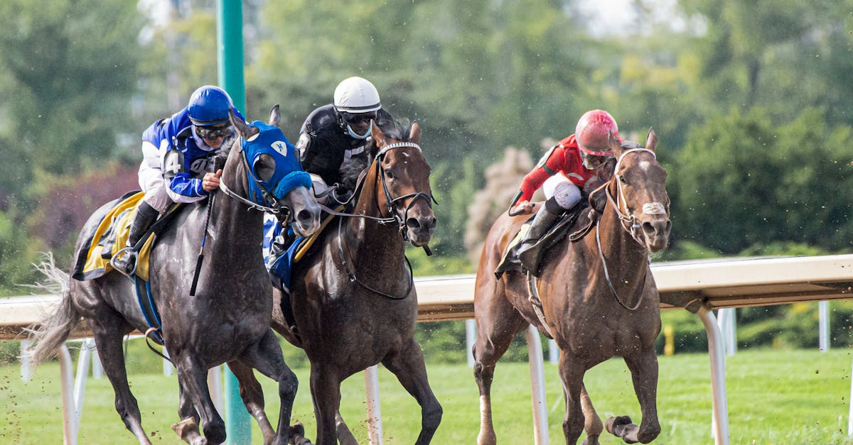 Le Kentucky Derby : Leçon d'investissement et stratégie