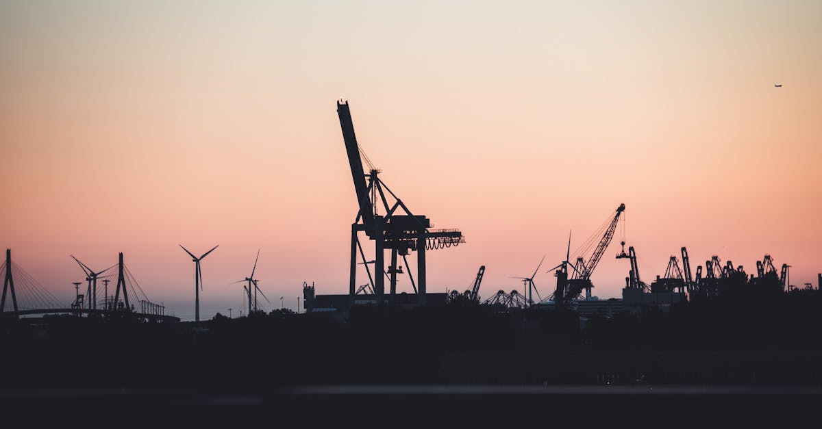 Les Mécanismes de Soutien et les Prévisions de Goldman Sachs