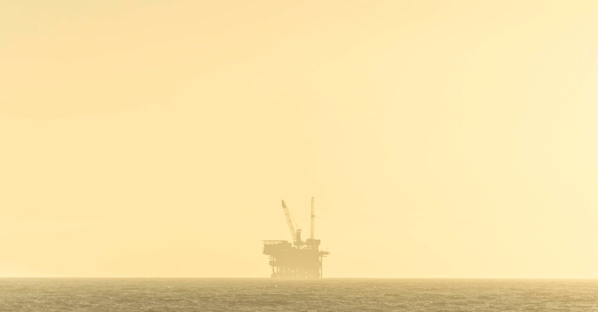 Les raisons d'un divorce : souveraineté économique et diversification