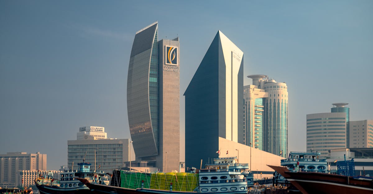 Les Émirats Arabes Unis : ambition et indépendance énergétique