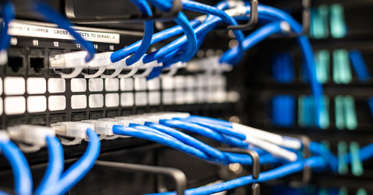 L'Opposition Locale : Un Frein Puissant