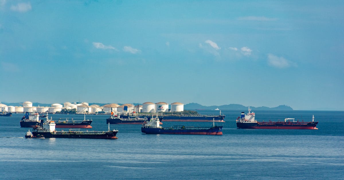Le Pétrole Brut comme Baromètre Économique et Monétaire