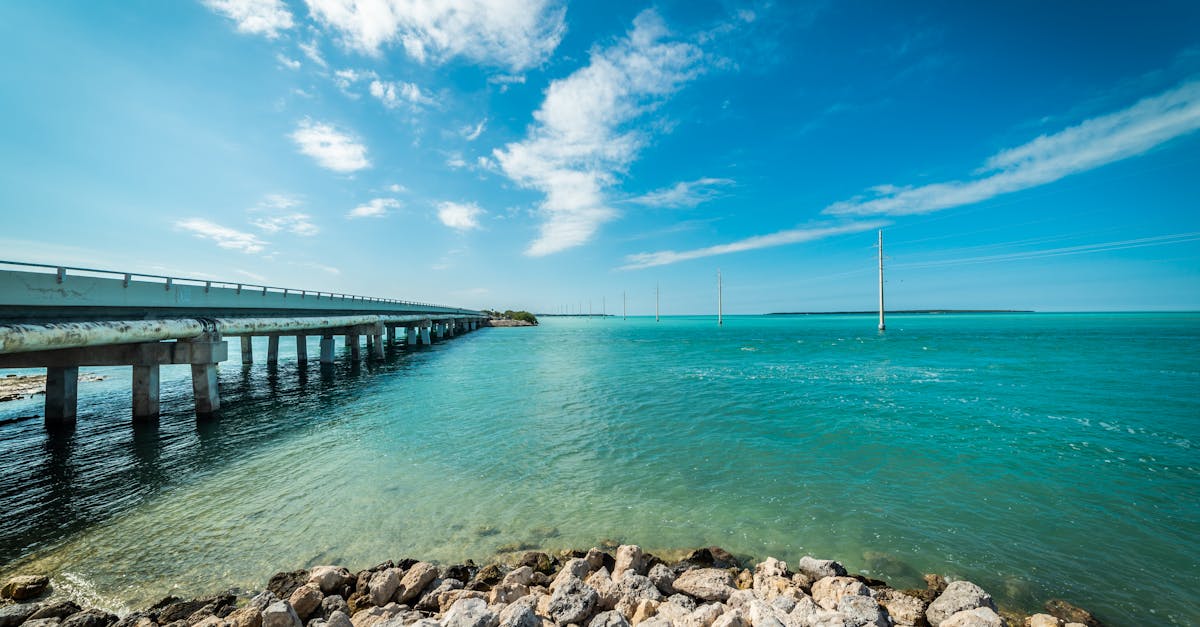 Perspectives d'avenir pour Safepoint et le secteur