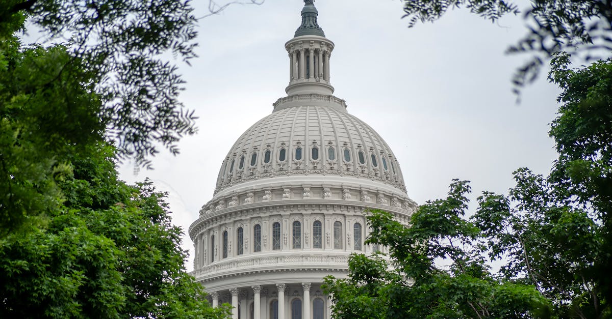 Les Points de Friction : Dépenses, Guerre et Transparence