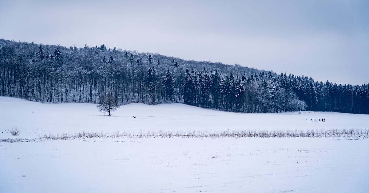 Ukraine : L'Hiver de Tous les Dangers et Ses Répercussions Globales