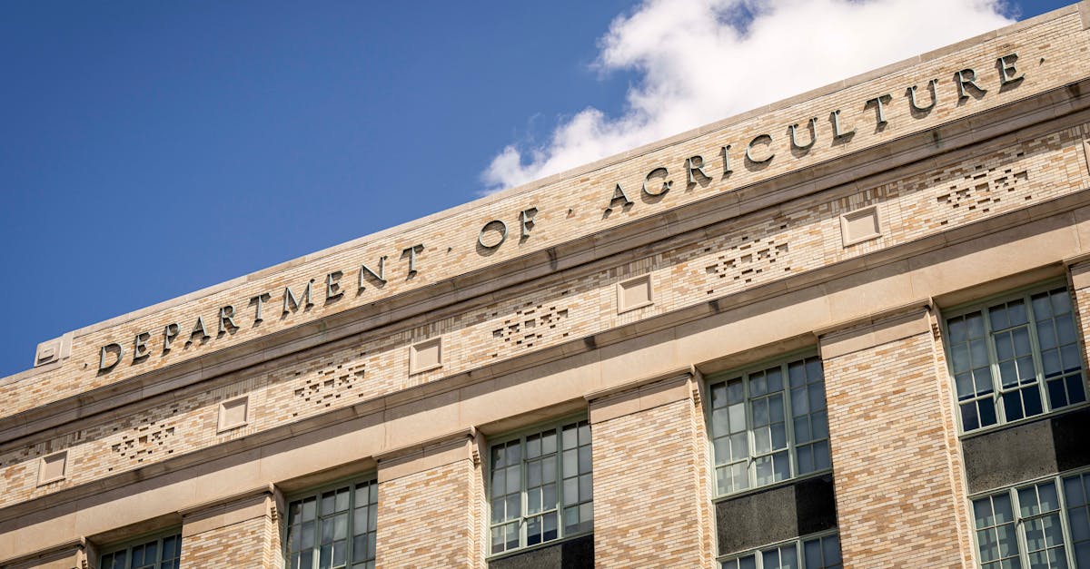 L'impact potentiel sur le marché du Forex